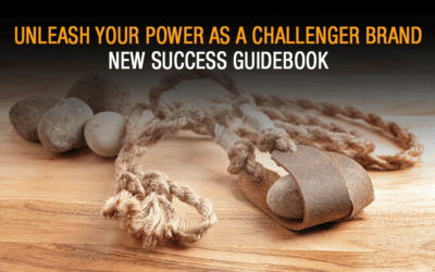 Unleash Your Power as a Challenger Brand | New Success Guidebook