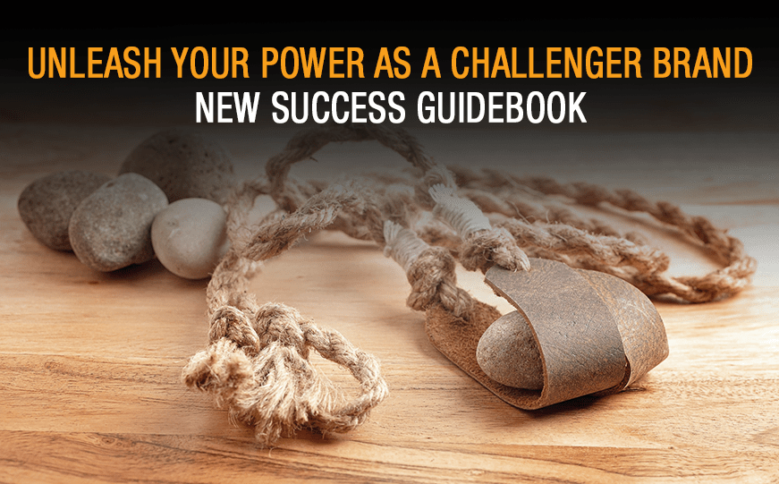 Unleash Your Power as a Challenger Brand | New Success Guidebook