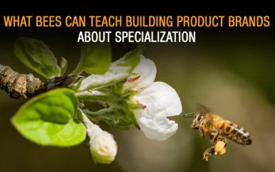 What Bees Can Teach Building Product Brands About Specialization